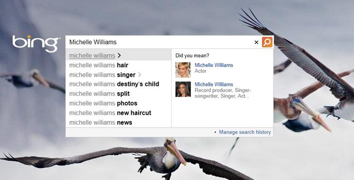 bing-search-bar-add-people-informations